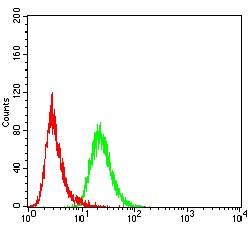 Flow Cytometry - Anti-KDM2B antibody [6F6G11] (AB234082)