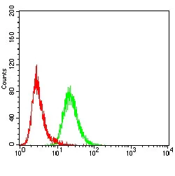 Flow Cytometry - Anti-KDM2B antibody [6F6G11] (AB234082)