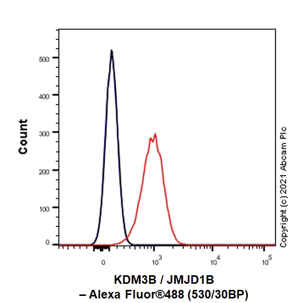 Flow Cytometry (Intracellular) - Anti-KDM3B / JMJD1B antibody [EPR24219-30] (AB271046)