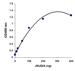 Functional Studies - KDM4/JMJD2 Activity Quantification Assay Kit (Colorimetric) (AB113461), expandable thumbnail