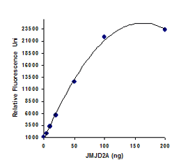 Functional Studies - KDM4/JMJD2 Activity Quantification Assay Kit (Fluorometric) (AB113462)