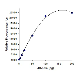 Functional Studies - KDM4/JMJD2 Activity Quantification Assay Kit (Fluorometric) (AB113462)