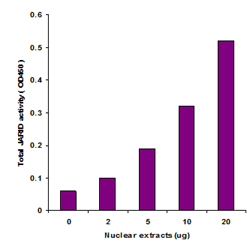 Functional Studies - KDM5/JARID Activity Quantification Assay Kit (Colorimetric) (AB113463), expandable thumbnail
