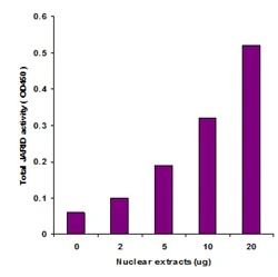 Functional Studies - KDM5/JARID Activity Quantification Assay Kit (Colorimetric) (AB113463)