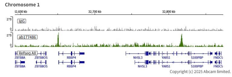 ChIC/CUT&RUN sequencing - Anti-KDM5A / Jarid1A / RBBP2 antibody [EPR12742] (AB177486)