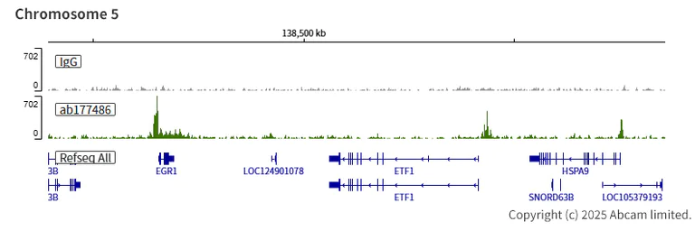 ChIC/CUT&RUN sequencing - Anti-KDM5A / Jarid1A / RBBP2 antibody [EPR12742] - BSA and Azide free (AB249990)