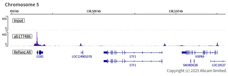 ChIP-sequencing - Anti-KDM5A / Jarid1A / RBBP2 antibody [EPR12742] - BSA and Azide free (AB249990)