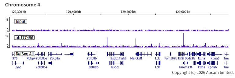 ChIP-sequencing - Anti-KDM5A / Jarid1A / RBBP2 antibody [EPR12742] - BSA and Azide free (AB249990)
