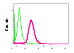 Flow Cytometry (Intracellular) - Anti-KDM5A / Jarid1A / RBBP2 antibody [EPR12742] - BSA and Azide free (AB249990)