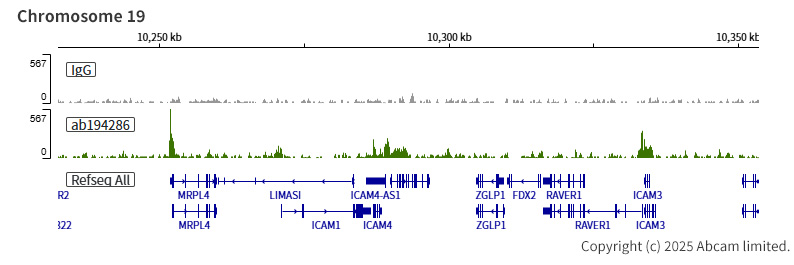 ChIC/CUT&RUN sequencing - Anti-KDM5A / Jarid1A / RBBP2 antibody [EPR18651] (AB194286)