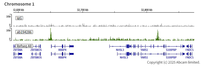 ChIC/CUT&RUN sequencing - Anti-KDM5A / Jarid1A / RBBP2 antibody [EPR18651] - BSA and Azide free (AB251183)