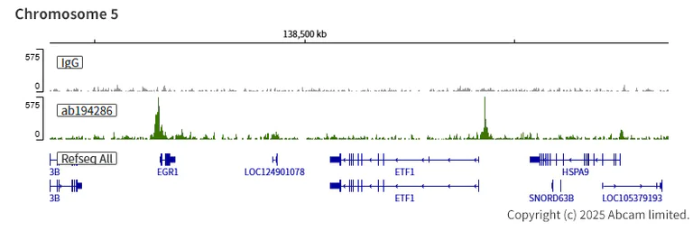 ChIC/CUT&RUN sequencing - Anti-KDM5A / Jarid1A / RBBP2 antibody [EPR18651] - BSA and Azide free (AB251183)