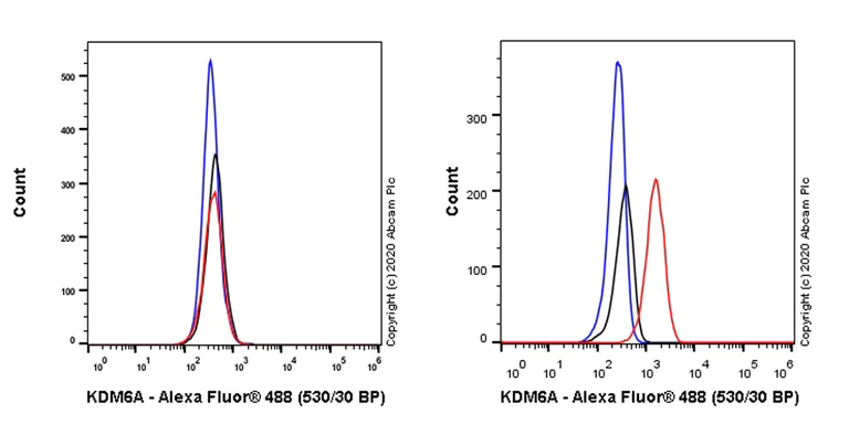 Flow Cytometry (Intracellular) - Anti-KDM6A / UTX antibody [EPR23203-211] - BSA and Azide free (AB275402)