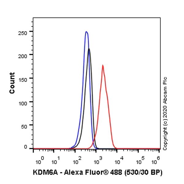 Flow Cytometry (Intracellular) - Anti-KDM6A / UTX antibody [EPR23203-211] - BSA and Azide free (AB275402)