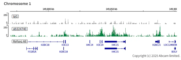 ChIC/CUT&RUN sequencing - Anti-KDM6B / JMJD3 antibody [EPR28325-184] - BSA and Azide free (AB328047)