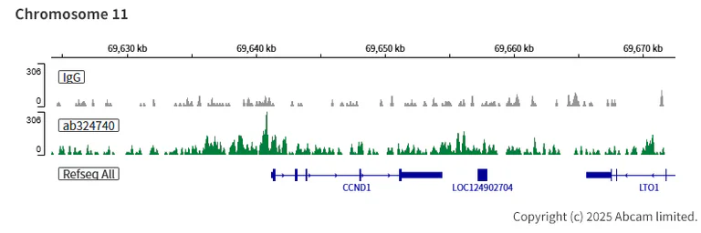ChIC/CUT&RUN sequencing - Anti-KDM6B / JMJD3 antibody [EPR28325-184] - BSA and Azide free (AB328047)