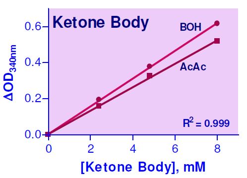 Functional Studies - Ketone Body Assay Kit (AB272541), expandable thumbnail