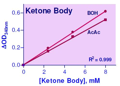 Functional Studies - Ketone Body Assay Kit (AB272541)