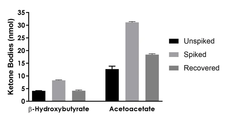Functional Studies - Ketone Body Assay Kit (AB318308)