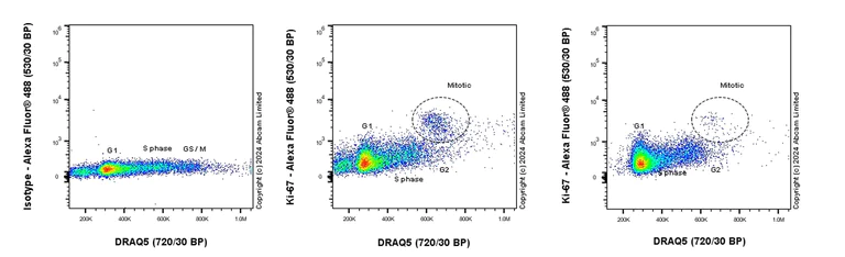 Anti-Ki67 抗体 [37C7-12] (ab245113) | Abcam