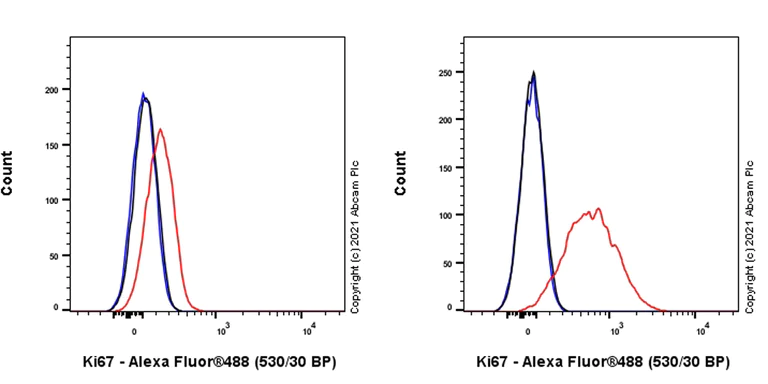 Flow Cytometry (Intracellular) - Anti-Ki67 antibody [B56] (AB279653)