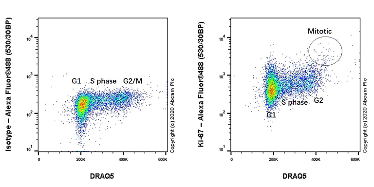 Flow Cytometry (Intracellular) - Anti-Ki67 antibody [B56] - BSA and Azide free (AB279657)