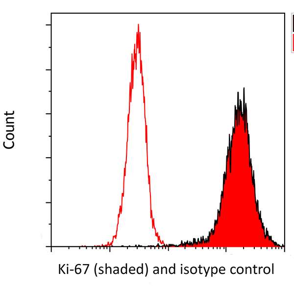Flow Cytometry - Anti-Ki67 antibody [BLR021E] (AB243878), expandable thumbnail