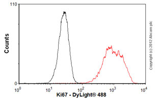 Flow Cytometry (Intracellular) - Anti-Ki67 antibody [EPR3610] - BSA and Azide free (ab209897), expandable thumbnail