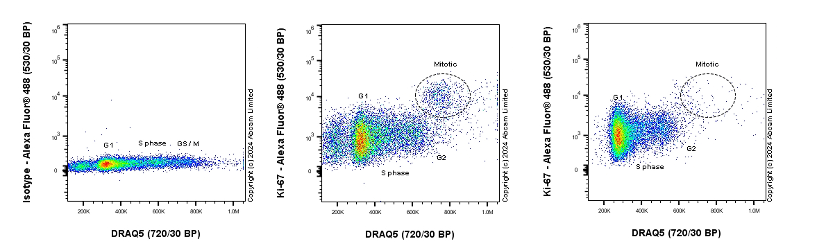 Flow Cytometry (Intracellular) - Anti-Ki67 antibody [SP6] (ab16667), expandable thumbnail