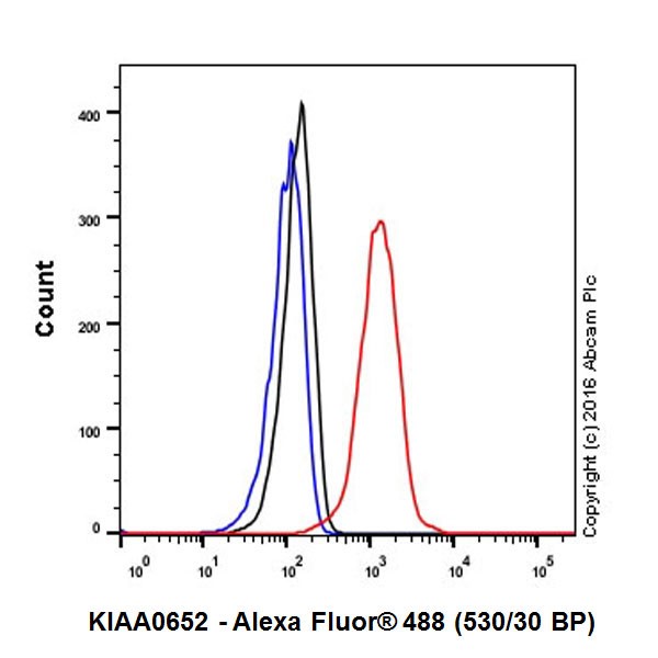 Flow Cytometry (Intracellular) - Anti-KIAA0652/ATG13 antibody [EPR19601] (AB201467)