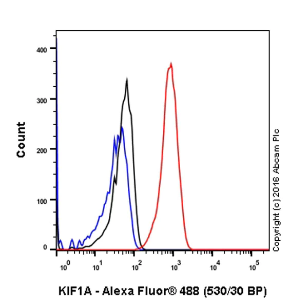 Flow Cytometry (Intracellular) - Anti-KIF1A antibody [EPR11790(B)] - BSA and Azide free (AB240222)