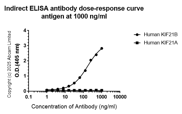 ELISA - Anti-KIF21B antibody [EPR30126-519] (AB325182)