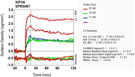 OI-RD Scanning - Anti-KIF3A antibody [EPR5087] (AB133587)