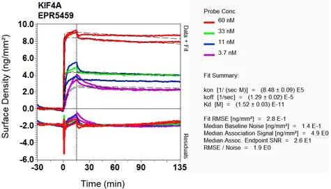 OI-RD Scanning - Anti-KIF4A/KIF4 antibody [EPR5459] (AB124903)