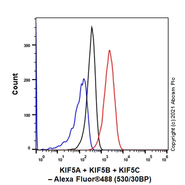 Flow Cytometry (Intracellular) - Anti-KIF5A + KIF5B + KIF5C antibody [EPR24325-98] - BSA and Azide free (AB283661)