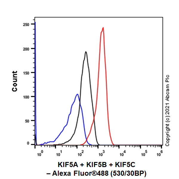 Flow Cytometry (Intracellular) - Anti-KIF5A + KIF5B + KIF5C antibody [EPR24325-98] - BSA and Azide free (ab283661), expandable thumbnail