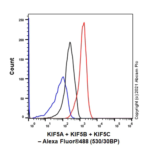 Flow Cytometry (Intracellular) - Anti-KIF5A + KIF5B + KIF5C antibody [EPR24325-98] - BSA and Azide free (AB283661)