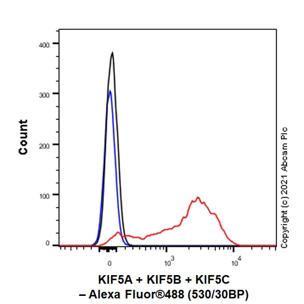 Flow Cytometry (Intracellular) - Anti-KIF5A + KIF5B + KIF5C antibody [EPR24325-98] - BSA and Azide free (AB283661)