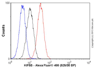 Flow Cytometry (Intracellular) - Anti-KIF5B antibody [EPR10277(B)] - BSA and Azide free (AB249004)