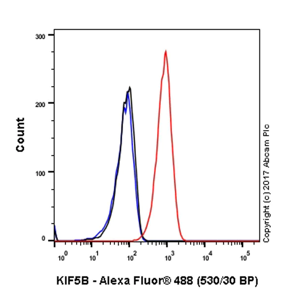 Flow Cytometry (Intracellular) - Anti-KIF5B+KIF5C antibody [EPR10276(B)] - BSA and Azide free (AB232350)