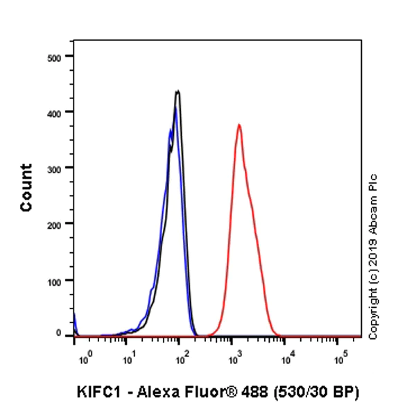 Flow Cytometry (Intracellular) - Anti-KIFC1 antibody [11445] - BSA and Azide free (AB235994)
