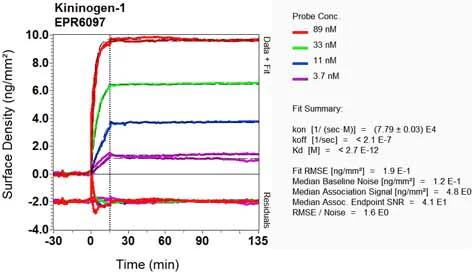 OI-RD Scanning - Anti-Kininogen 1 antibody [EPR6097] (AB124737)