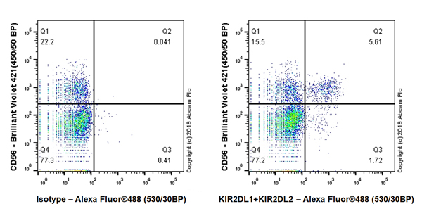 Flow Cytometry - Anti-KIR2DL1 + KIR2DL2 antibody [EPR22492-2] (AB224696), expandable thumbnail