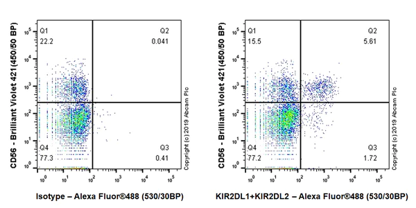 Flow Cytometry - Anti-KIR2DL1 + KIR2DL2 antibody [EPR22492-2] (AB224696)