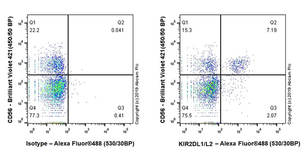 Flow Cytometry - Anti-KIR2DL1 + KIR2DL2 antibody [EPR22492-79] - BSA and Azide free (AB255857), expandable thumbnail