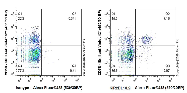 Flow Cytometry - Anti-KIR2DL1 + KIR2DL2 antibody [EPR22492-79] - BSA and Azide free (AB255857)