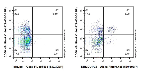 Flow Cytometry - Anti-KIR2DL1 + KIR2DL2 antibody [EPR22492-92] - BSA and Azide free (AB255807)
