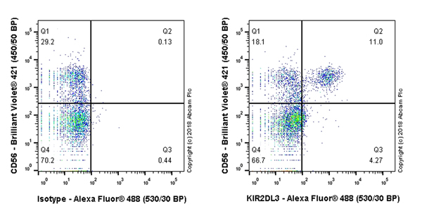 Flow Cytometry - Anti-KIR2DL3 antibody [EPR22195] - BSA and Azide free (AB241539)