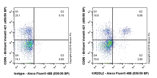 Flow Cytometry - Anti-KIR2DL3 + KIR2DL1 + KIR2DL2 antibody [EPR22541-47] (AB224697), expandable thumbnail