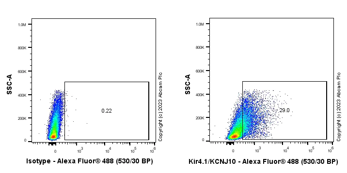Flow Cytometry (Intracellular) - Anti-Kir4.1/KCNJ10 antibody [EPR27251-74] - BSA and Azide free (AB312845)